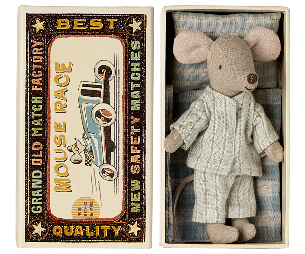 Big brother mouse in matchbox