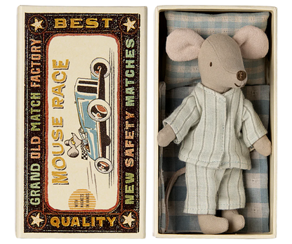 Big brother mouse in matchbox