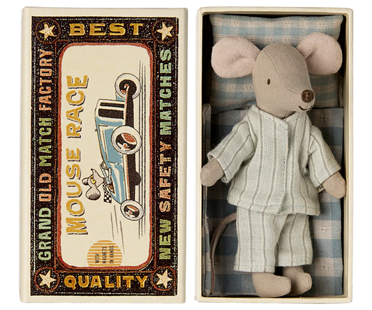 Big brother mouse in matchbox
