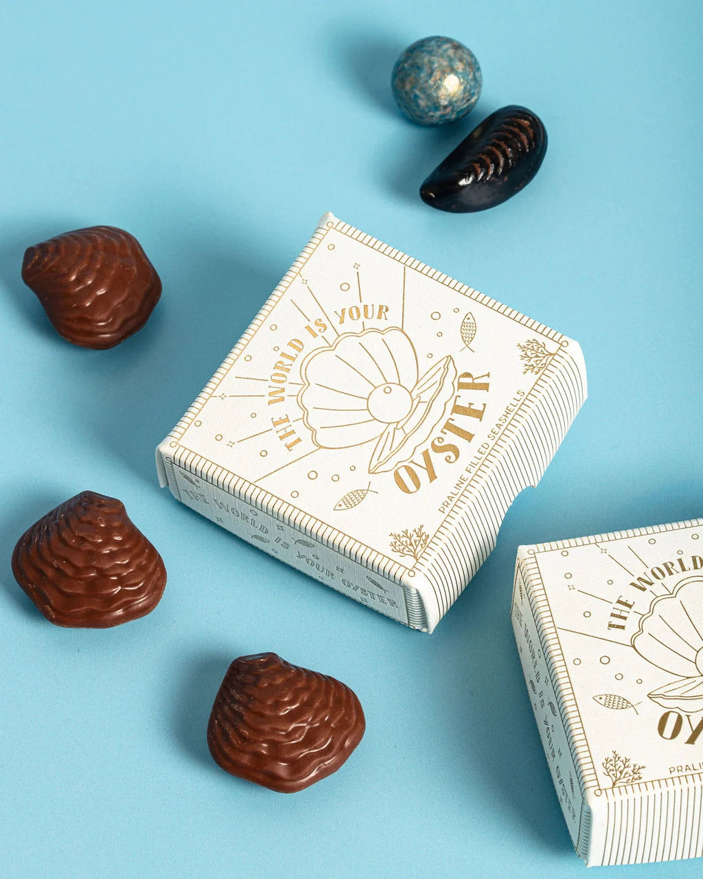 The World Is Your Oyster! Praline Seashell Chocolates
